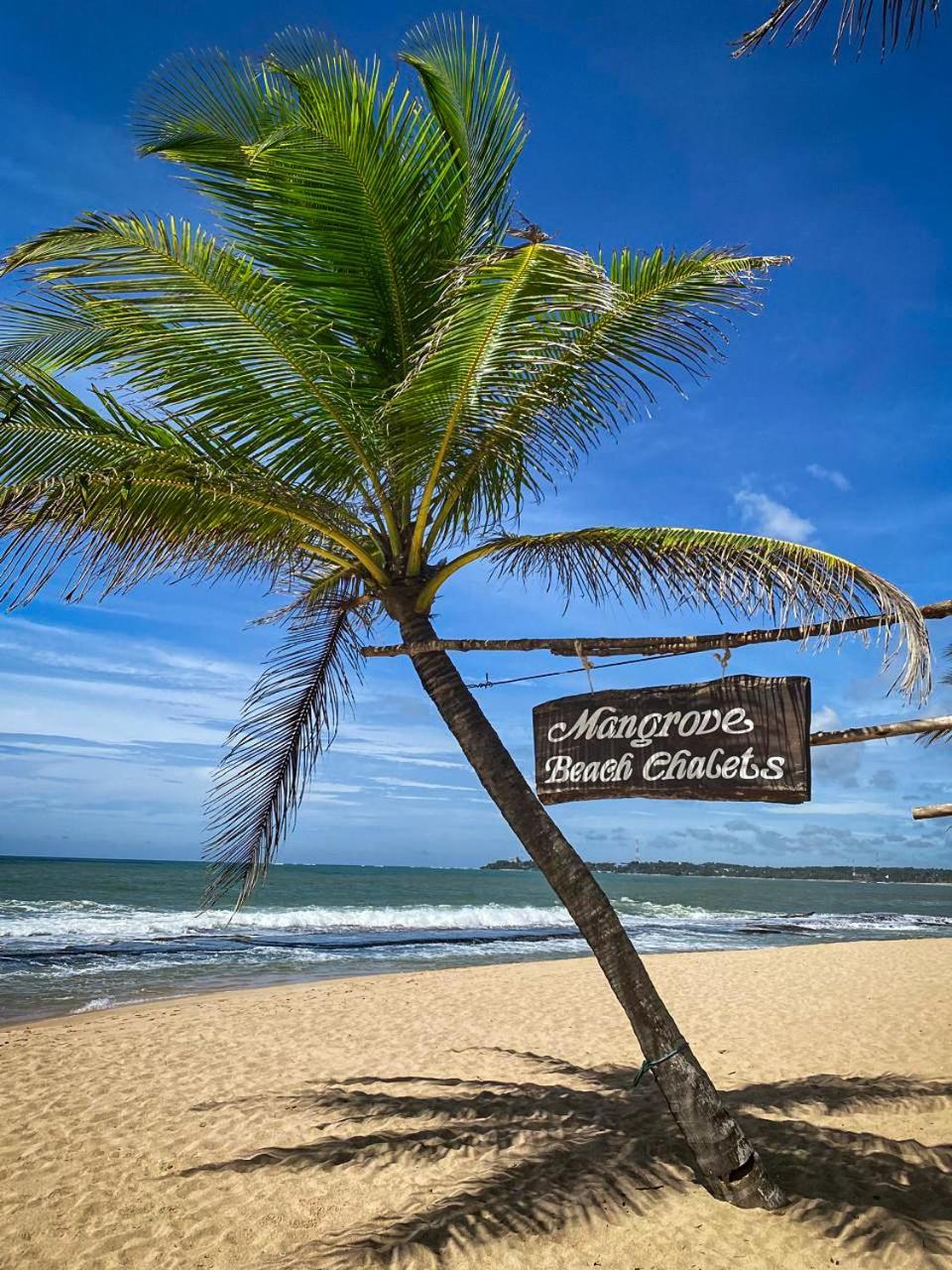 Mangrove Beach Chalets Tangalle Exterior foto